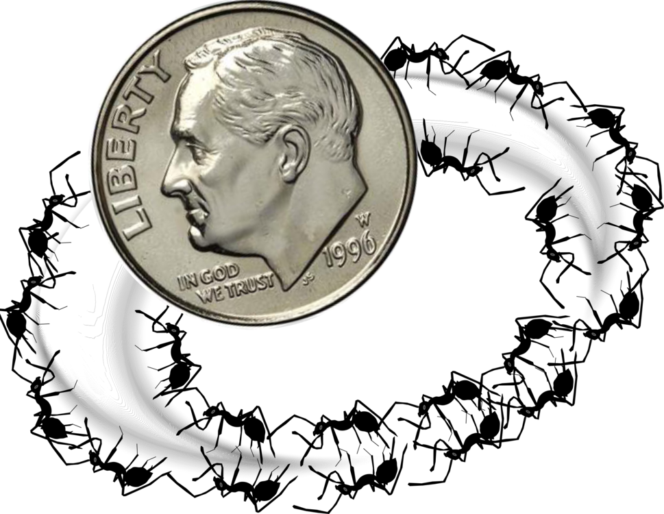 All Photo Png Clipart - Portable Network Graphics (969x750)