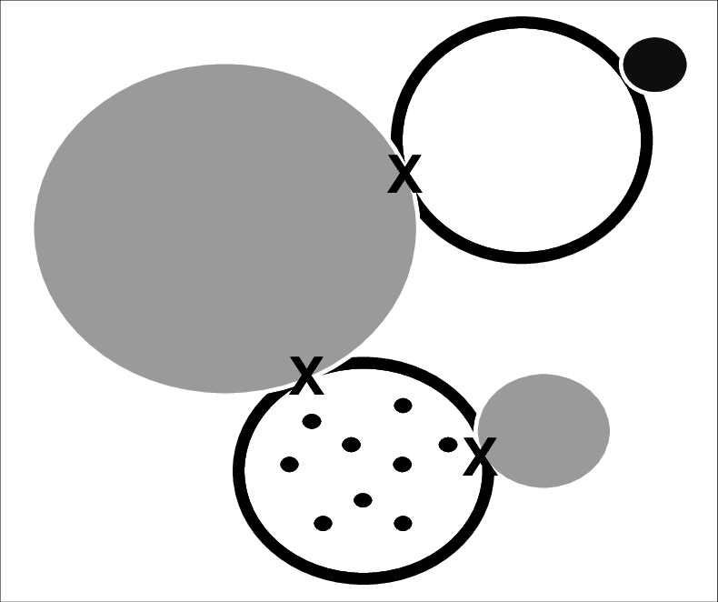 Ni 0 , Nio And Ceo 2 Or Cerium And Nickel Solid Solution - Circle (790x662)