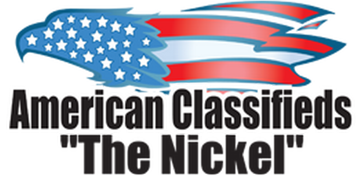 American Classifieds - Future Of The American Negro [book] (600x268)