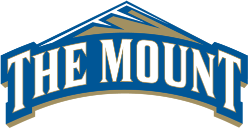 The Mount Wins Championship - Mt St Mary's Basketball Logo (500x500)