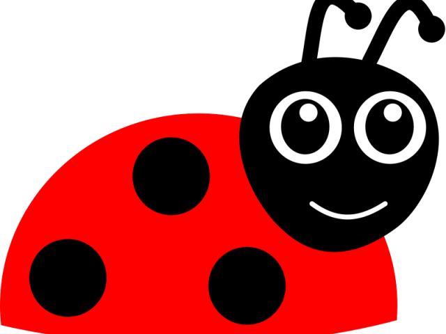 Ladybug Clipart Animated - Ladybug Cartoon (640x480)
