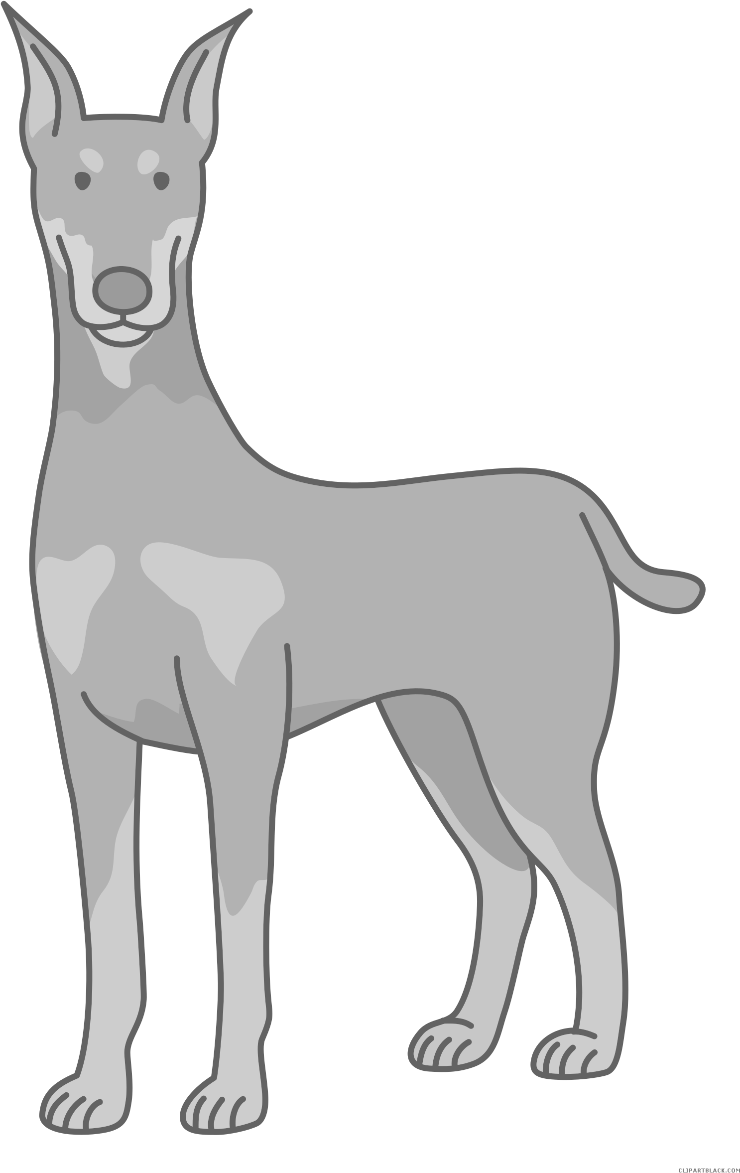 Prairie Falcon Clipart Sock - 無料 イラスト ドーベルマン (1590x2400)