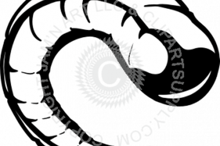 Horns Vector Ram Horn - Ram Horns Clipart (450x300)