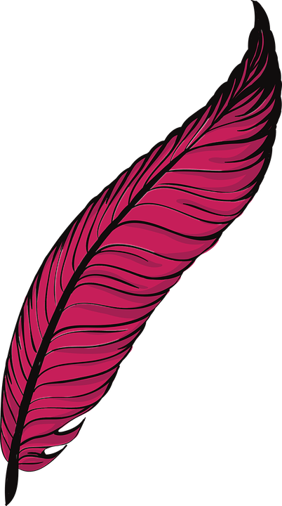 Tüy Kalem Png (402x720)