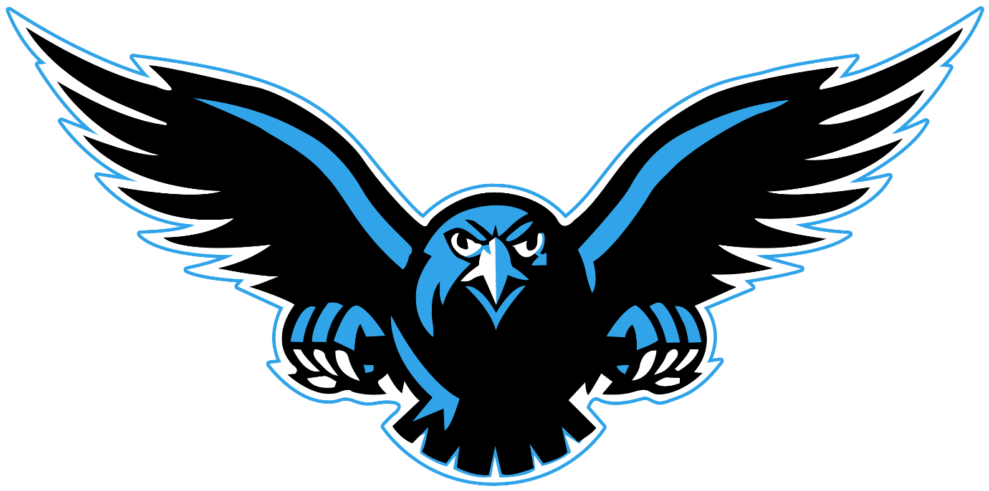 Transparent Background Peoplepng Com - Connellsville Falcons (1024x552)