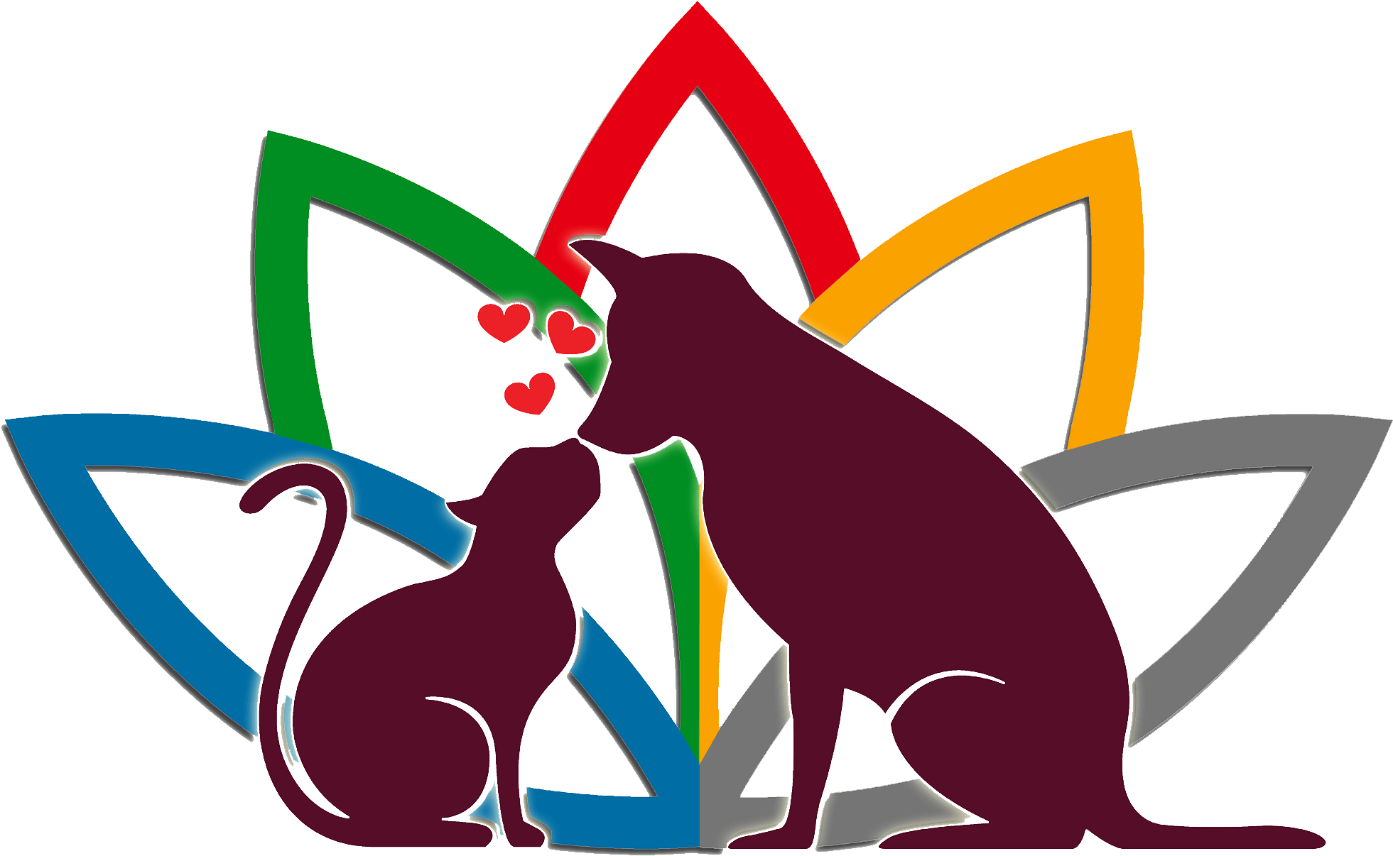 Animal Options Vet Clinic Gold Coast Ormeau - Ict Bodyworks West (2048x1271)