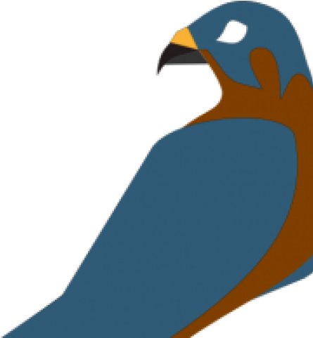 Falcon Clipart Perigan - Parrot (640x480)