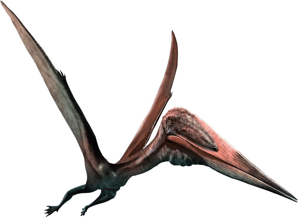 Zhejiangopterus Moab Giants Dinosaur - Pterodactyl Png (1040x739)