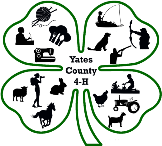 We Will Be Placing An Order For 4 H T Shirts - 4 Ht Shirt Designs (555x496)