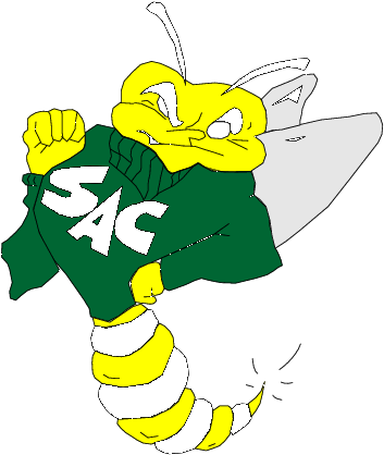 Sacramento State Hornets - Sacramento State Hornets (369x437)