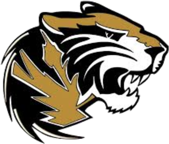 Hornet Clipart Wellsboro - Southern Columbia Tigers Logo (720x578)