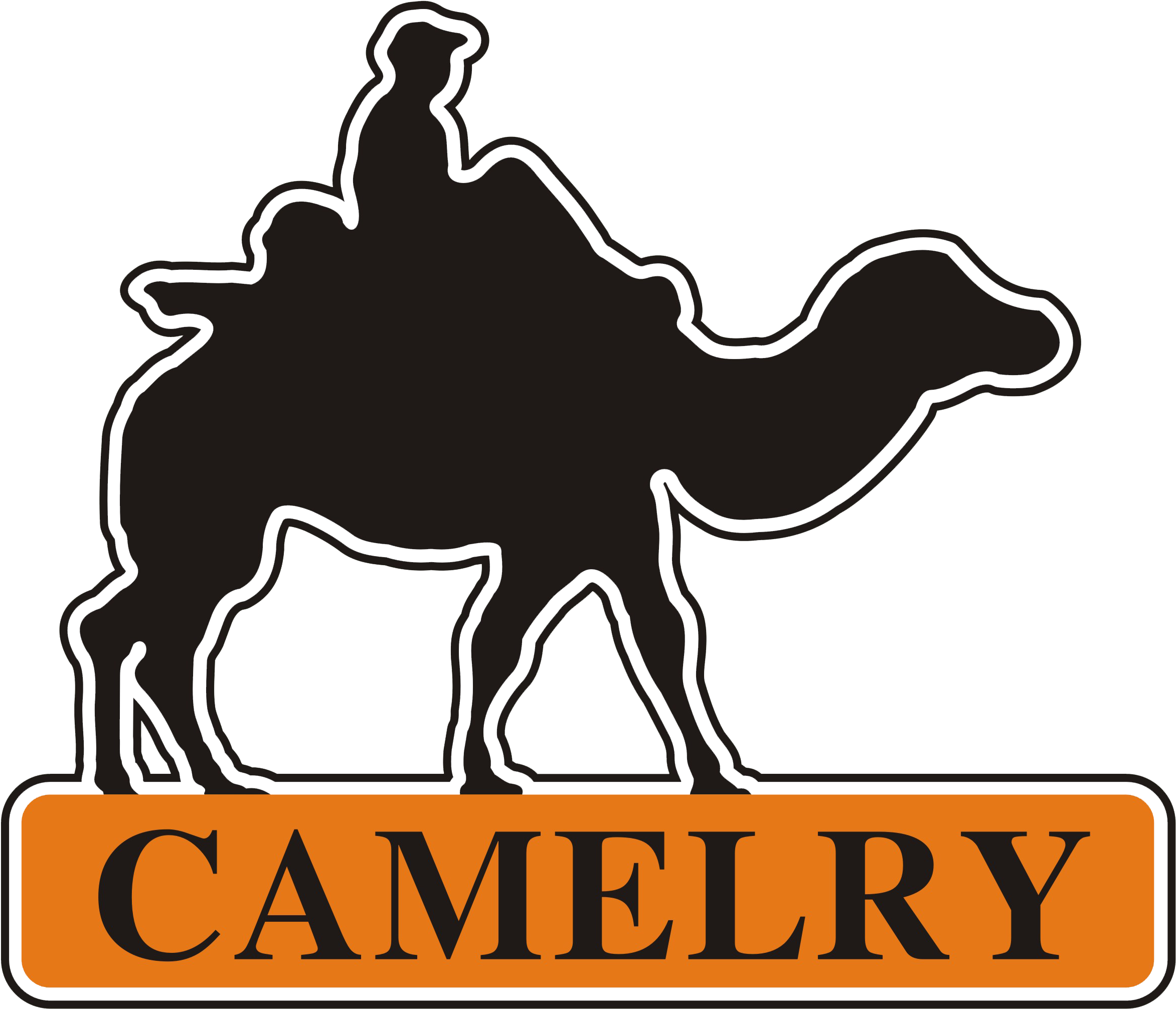 Bluebonnets Drawing - Lri (2485x3499)