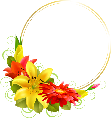 Фотки Tropical Frames, Borders And Frames, Oval Frame, - Flowers For Card Design (465x500)