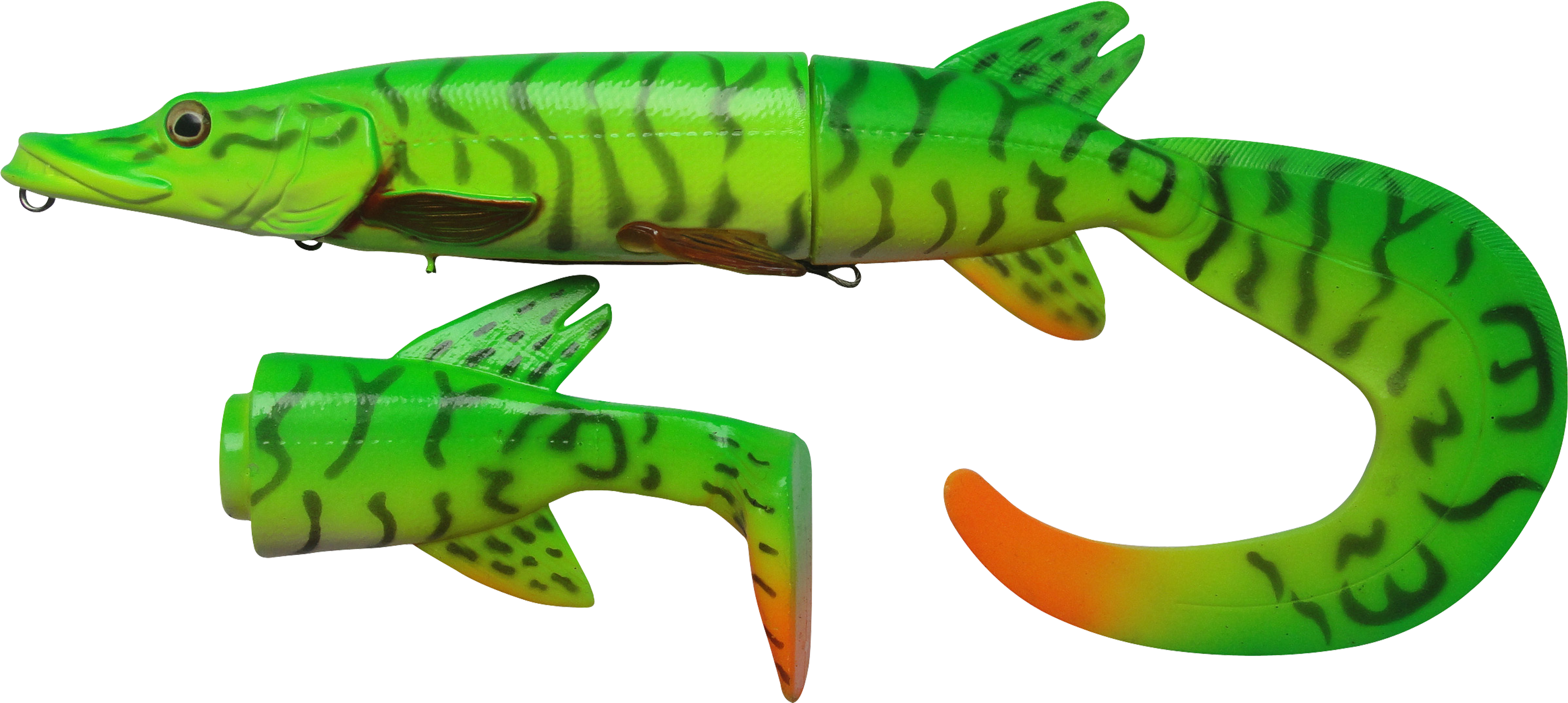 Transparent Eel Baby Green - Transparent Eel Baby Green (3600x1908)