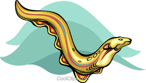 Eel - Clip Art (480x275)