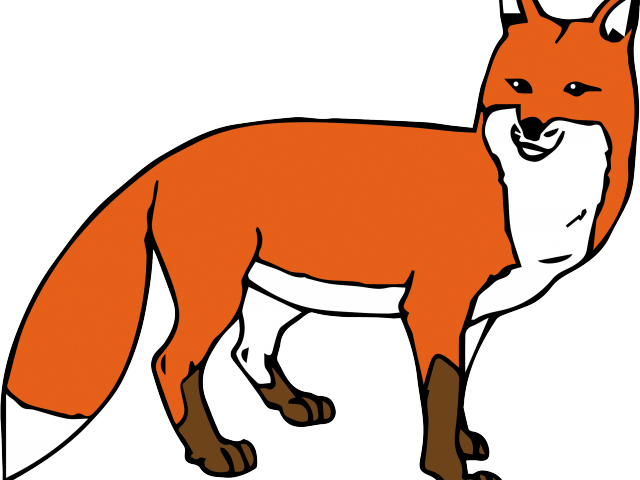 Eels Clipart Sea Lamprey - Fox Clipart Transparent Background (640x480)