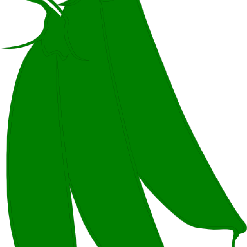 String Beans Clip Art Green Beans Clip Art At Clker - Clip Art (1024x1024)