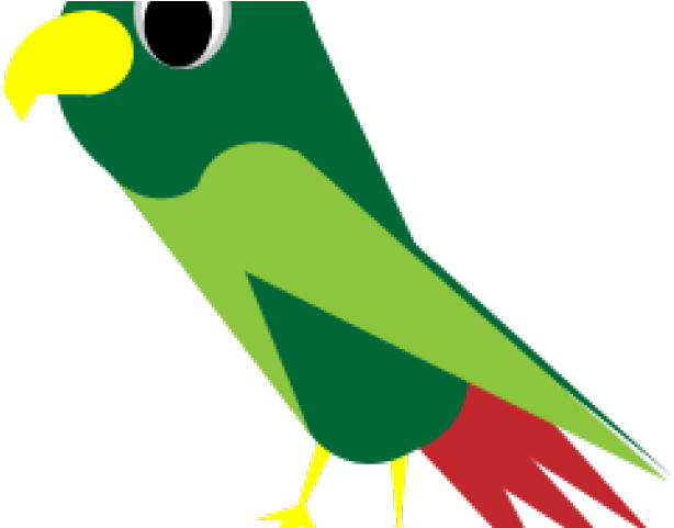 Parrot Clipart Puerto Rican - Parakeet (640x480)