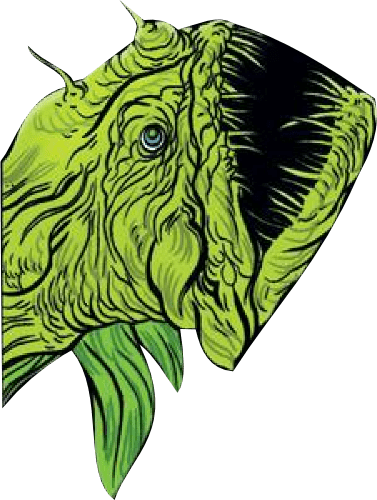 Gulper Eel - Illustration (377x500)