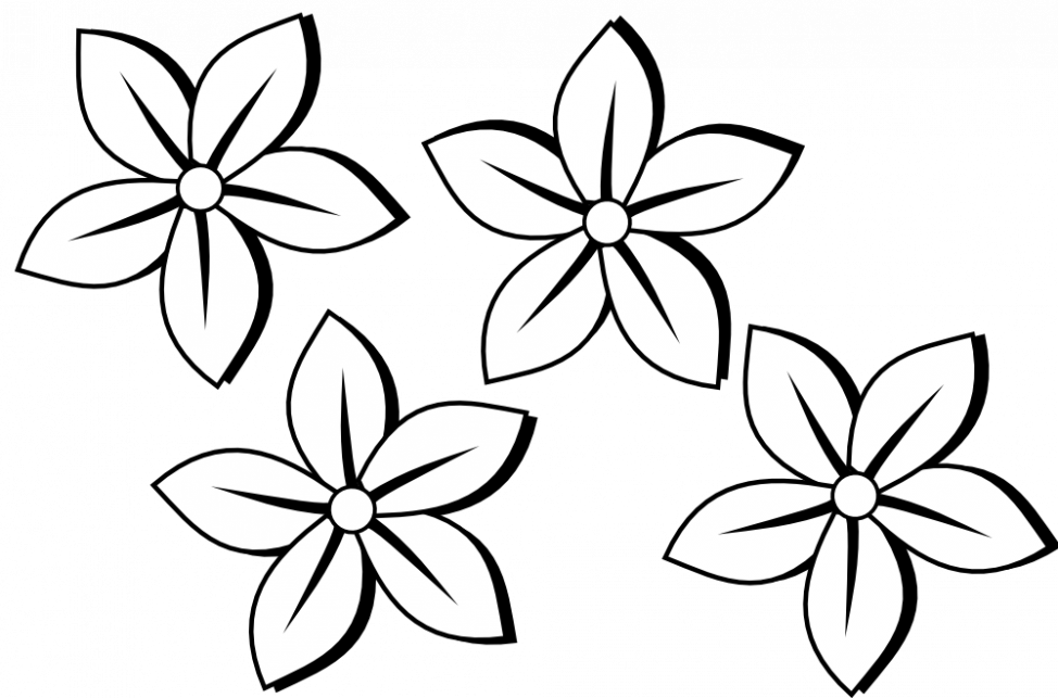 Clip Art Black And White Stock Cosmos Drawing Realistic - Drawing Black And White Flowers (974x643)