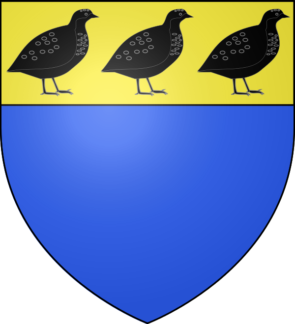 Blason Famille Caille - Coat Of Arms (600x660)