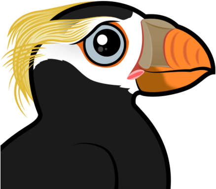 About The Tufted Puffin - Puffin (440x440)