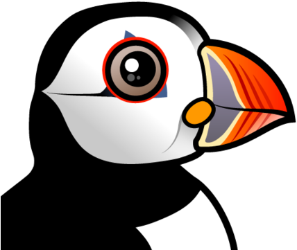 About The Atlantic Puffin - Puffin Bird Cute Cartoon (440x440)