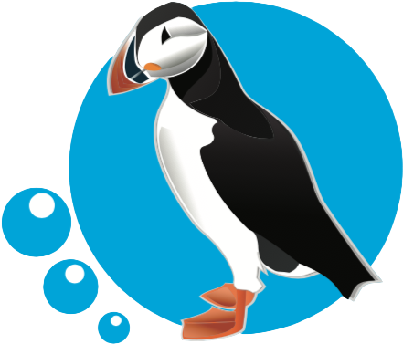 Puffin - Arctic Puffin Elf Note Cards (pk Of 20) (453x398)