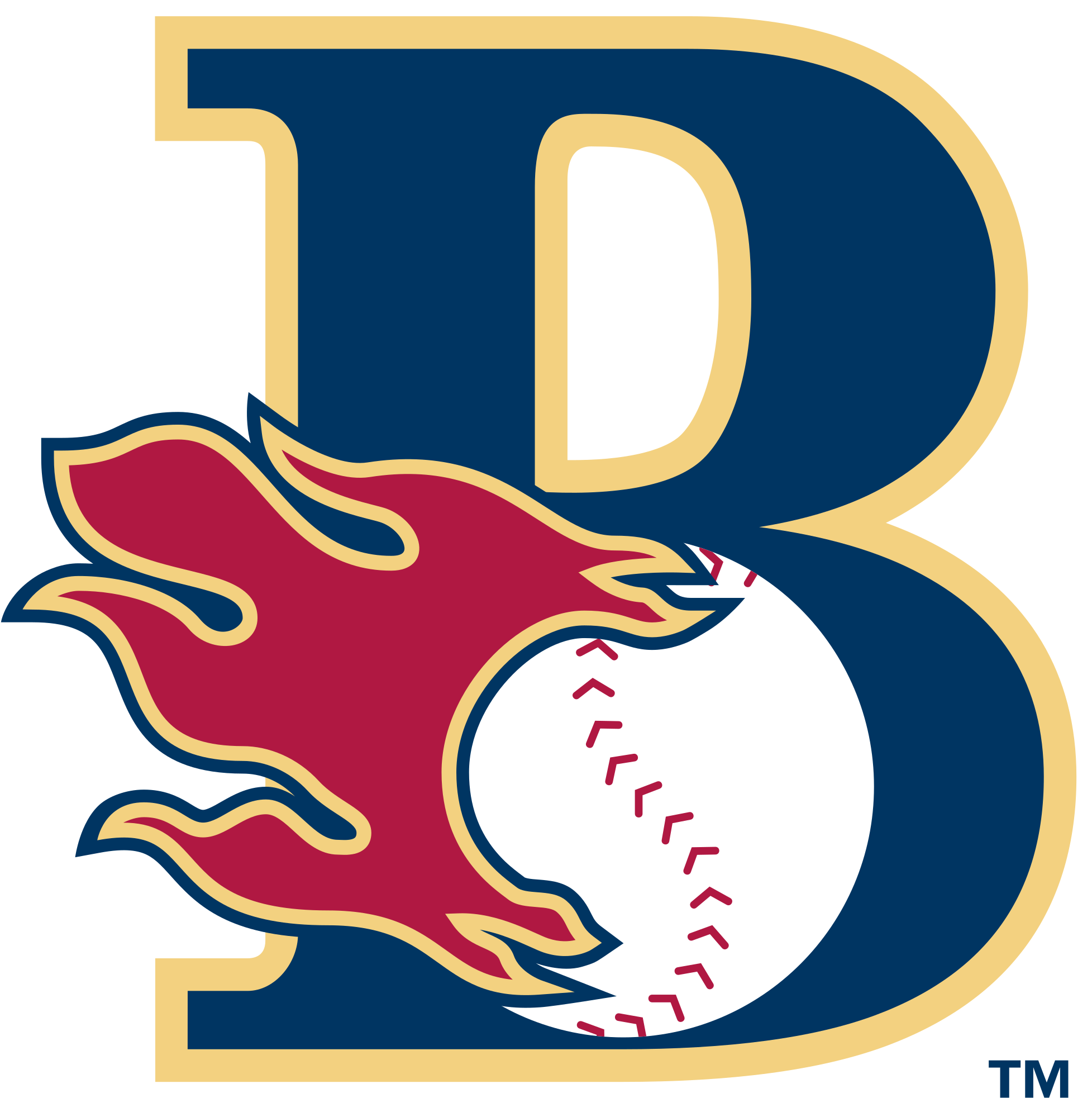 Bakersfield Blaze - Bakersfield Blaze Logo (2400x2400)