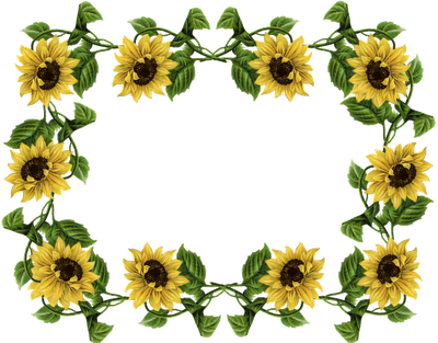 Sunflower Border Clip Art - Sunflower Border Png (400x313)