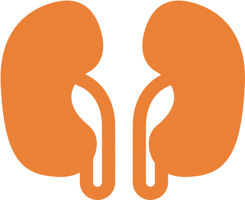 Urology And Andrology - Urology And Andrology (480x480)