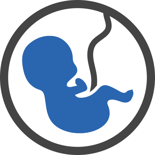 Post-birth Court Orders - International Organization For Migration (500x500)