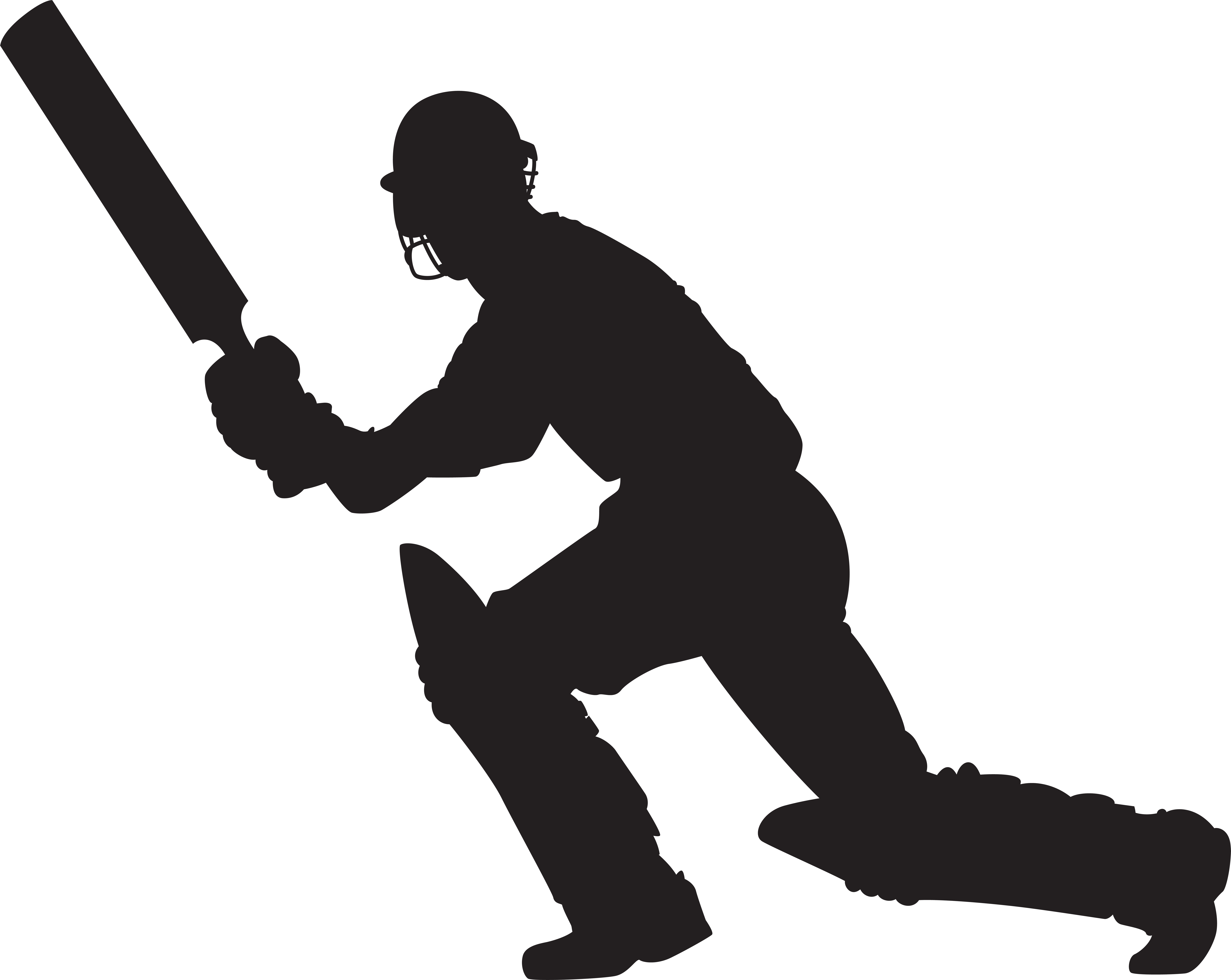 Cricket Player Silhouette Png Clip Art Image - Cricket Player Silhouette Png Clip Art Image (8000x6370)
