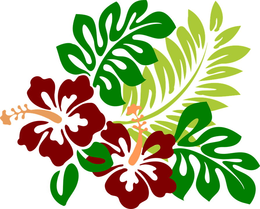 Decoupage - Hawaiian Flower Png (1280x1030)