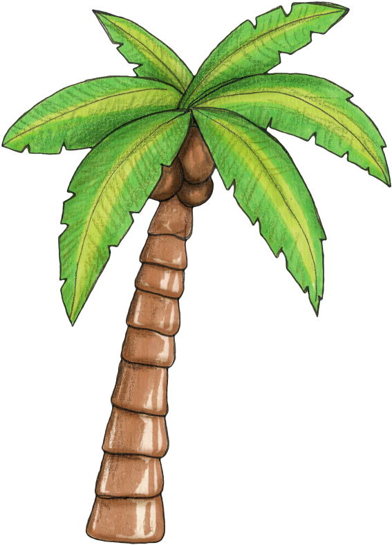 Como Ia Viajar Em Dezembro E Não Teria A Confraternização - Moana Palm Tree (576x800)