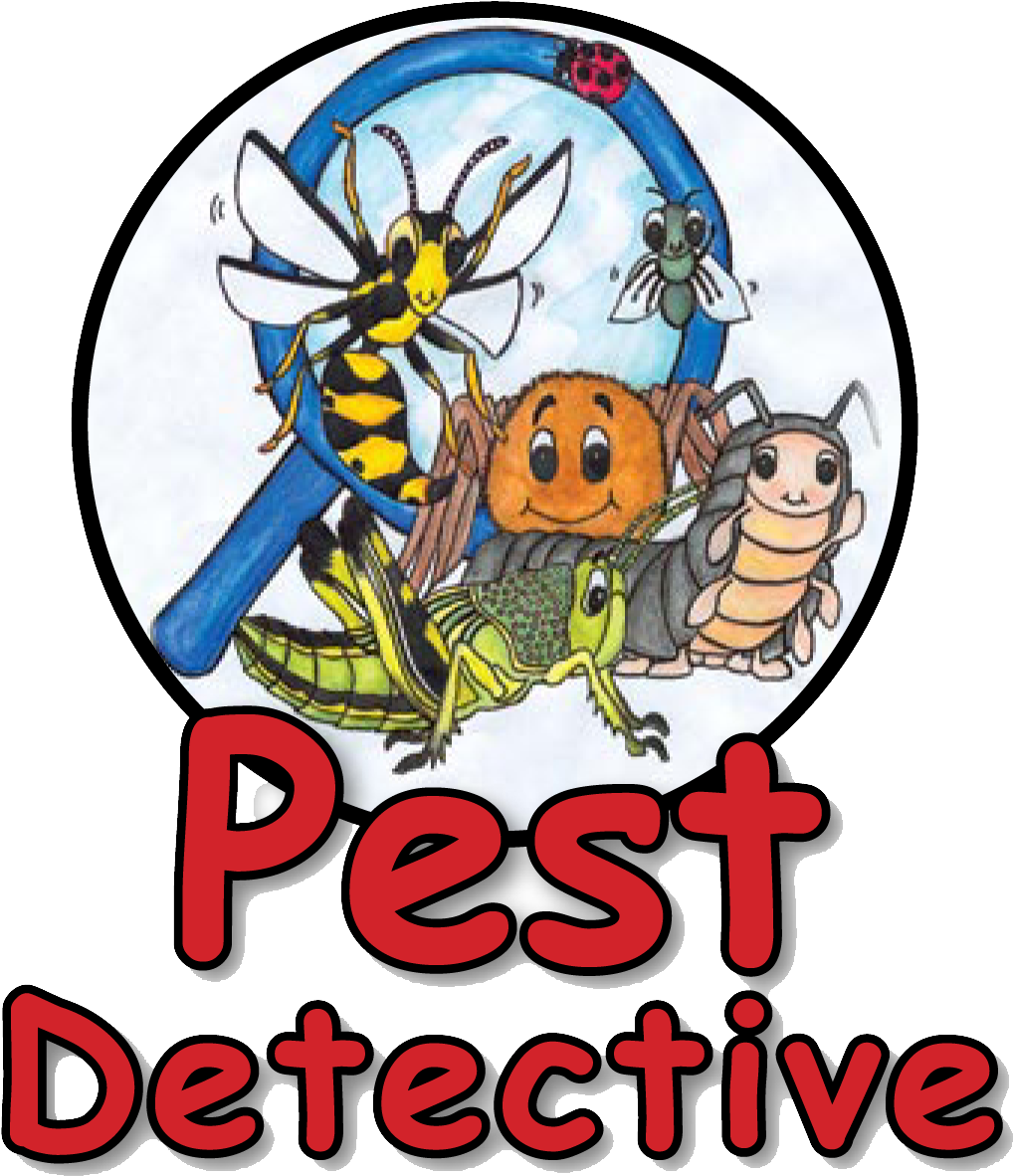 Words 'pest Detective' And Hand Drawn Illustration - Pest Detective (1053x1181)