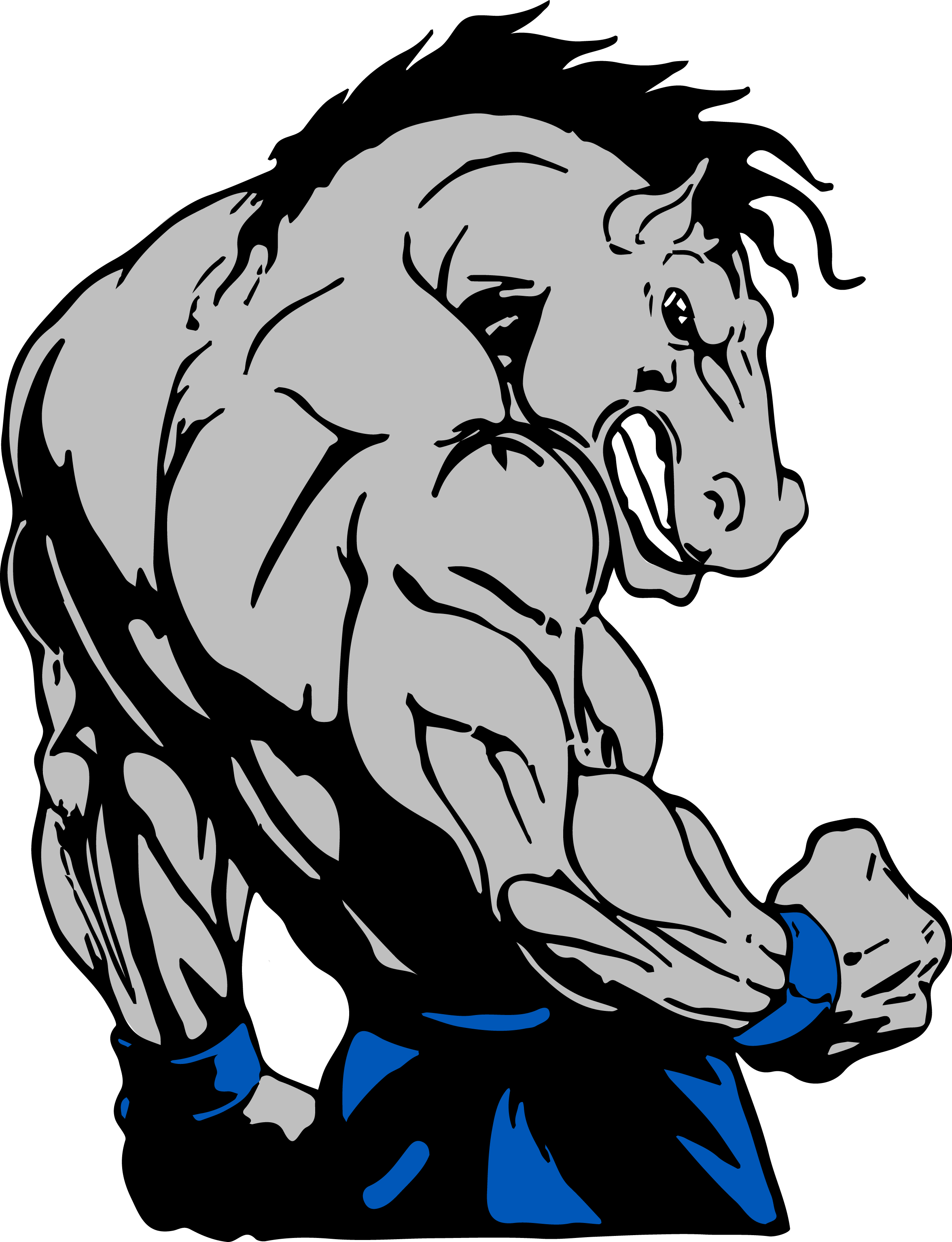 Contact Us - Bodybuilding Horse (2353x3069)