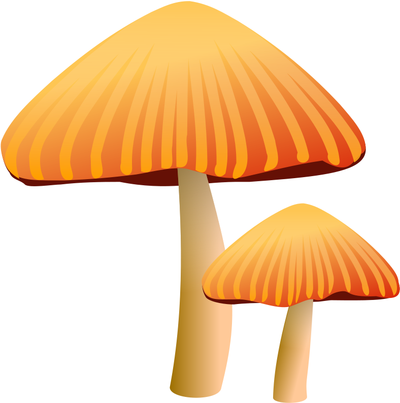 Mushroom Free To Use Clip Art - Mushroom Clip Art (787x800)