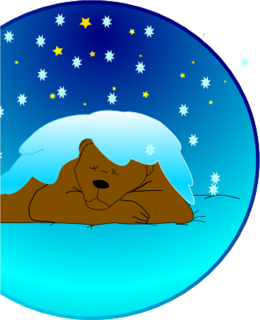 Snow Clipart Free Sleeping Bear Under Stars With Snow - Sleeping Bear Clip Art (1024x1024)