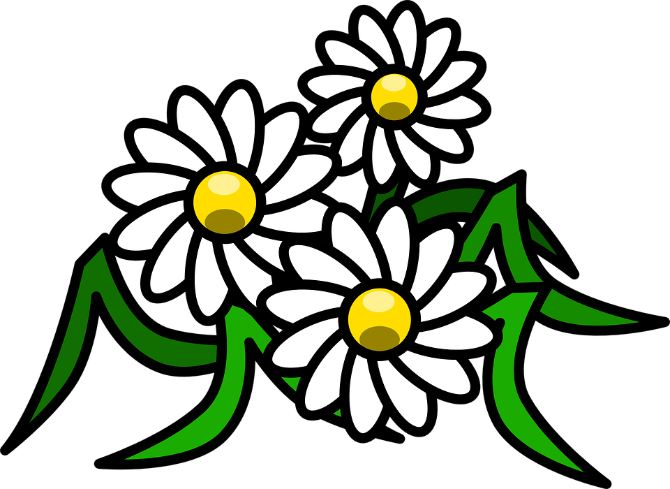 Clipart Gratis - White Flowers Clip Art (960x700)
