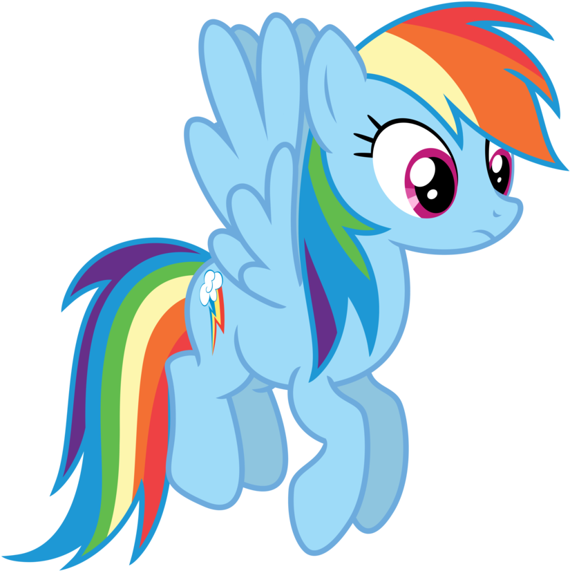Rainbow Dash 18 By Estories - Rainbow Dash And Tank (881x907)