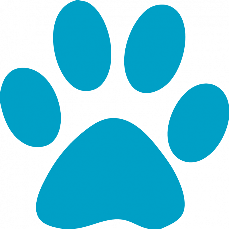 Bobcat Paw Prints Free Download - Paw Print Clip Art (800x800)