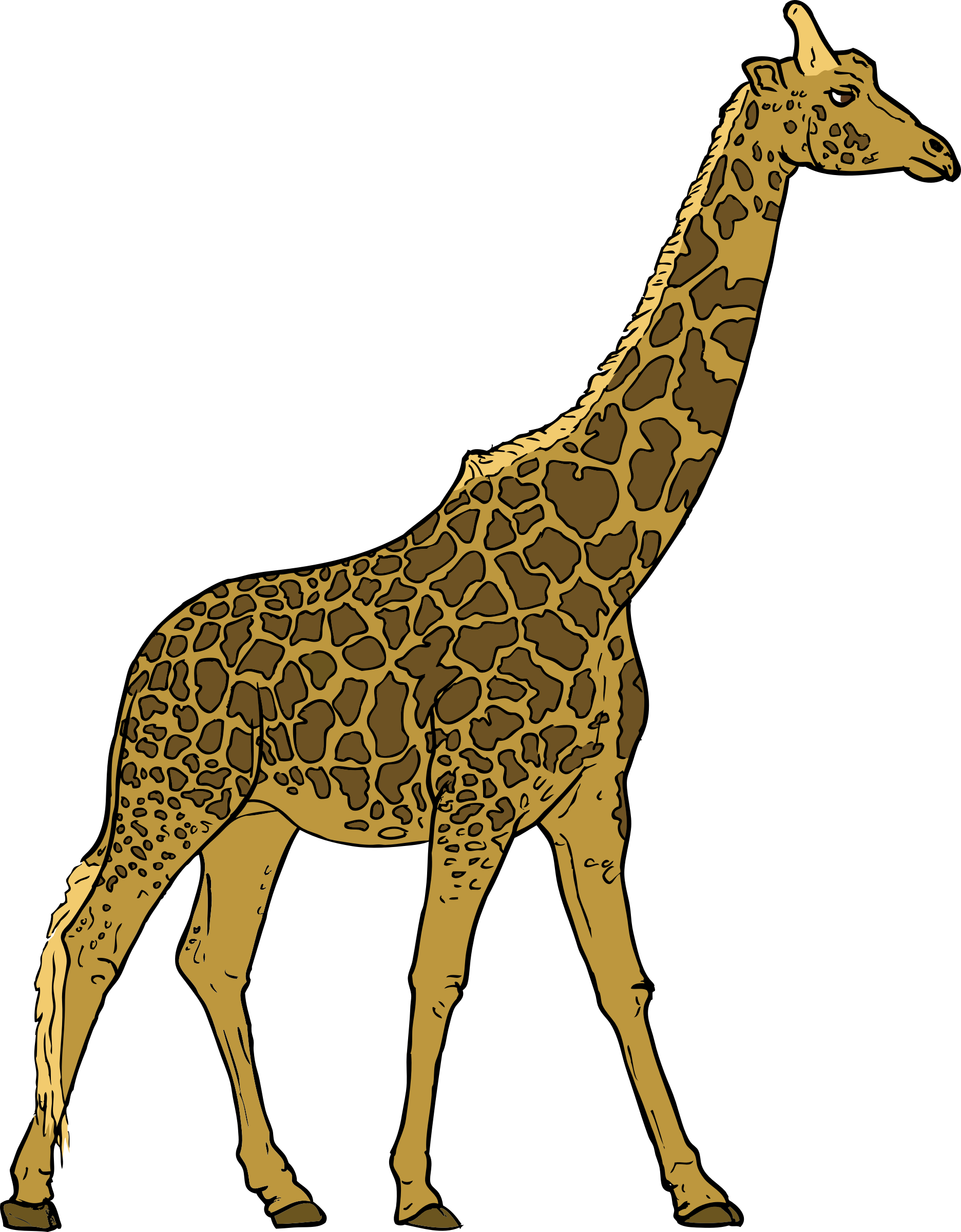 Free Vector Giraffe Clip Art - Clipart Giraffe (1872x2400)