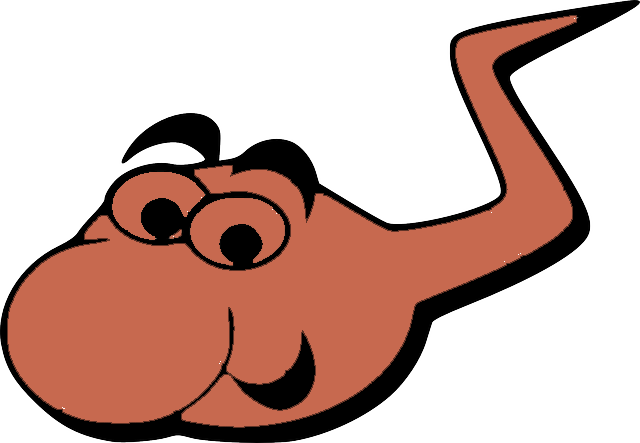 Sperm Courtesy Of Pixabay - Pixabay (640x443)