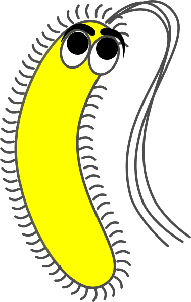 Bacteria Yellow Funny Clip Art - Unicellular Organism Clipart (378x595)