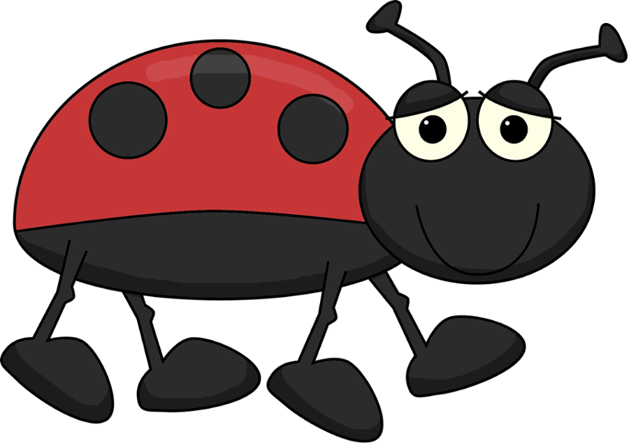 Jardim - Minus - Grouchy Ladybug Activities For First Grade (900x635)