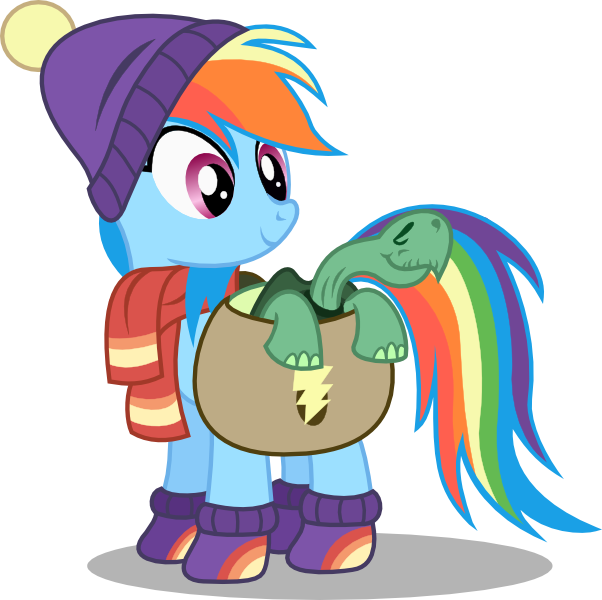 Rainbow Dash And Tank By Seahawk270 - Rainbow Dash And Tank (602x600)