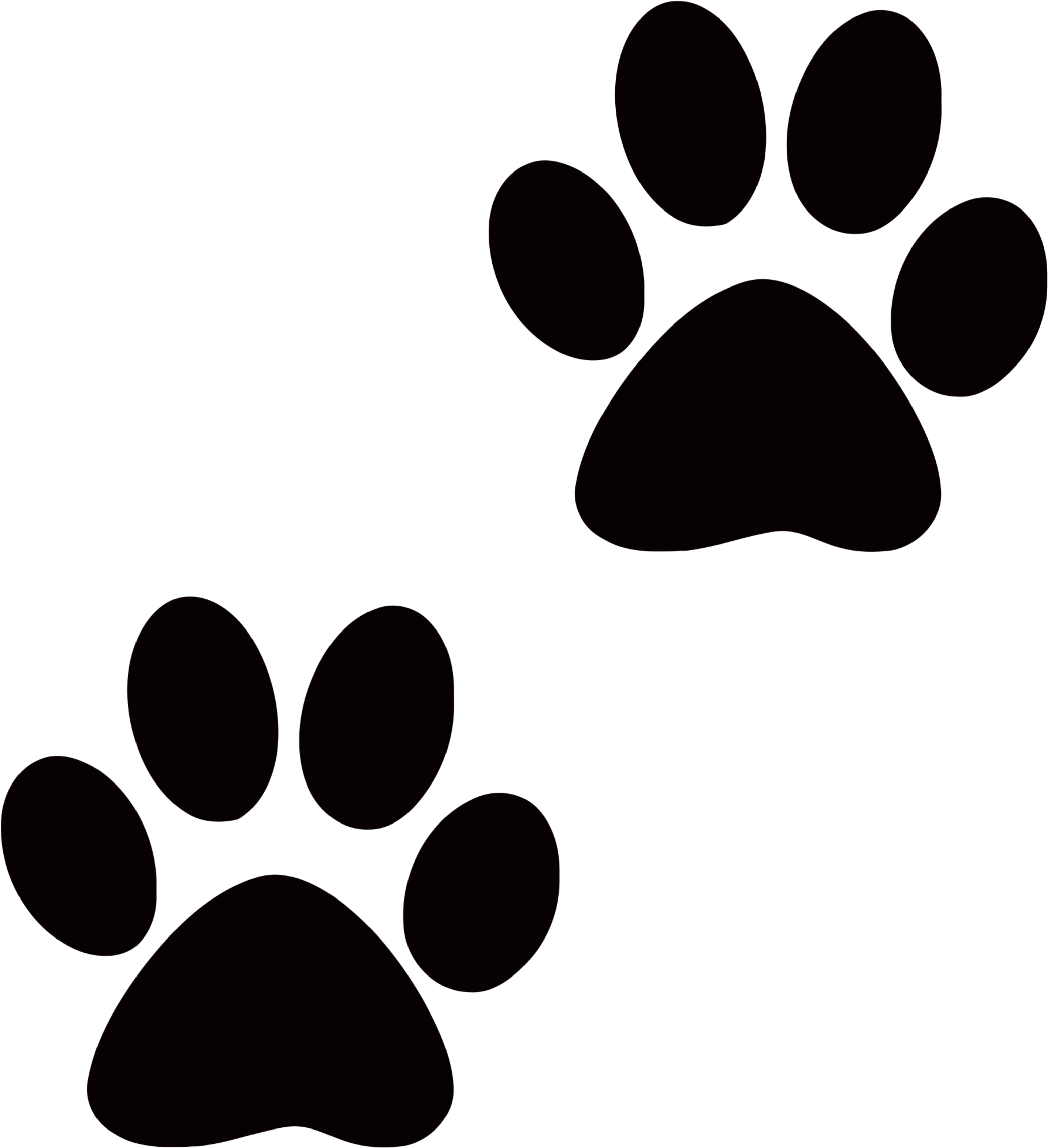 Tiger Paws Clipart - Dog Paw Transparent Background (3333x3541)
