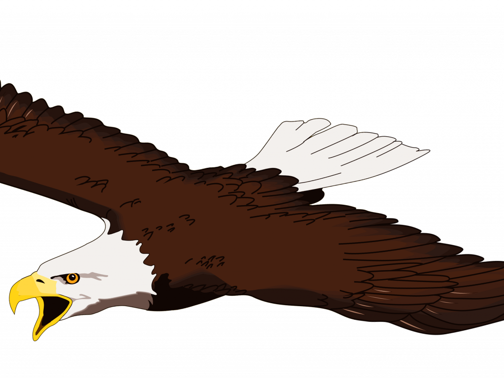 Download Stunning Soaring Eagle Clip Art Free - Download Stunning Soaring Eagle Clip Art Free (1024x768)