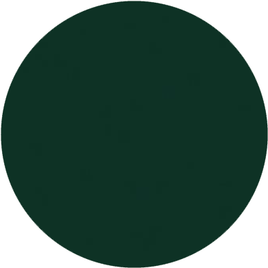 Color2 - - Circle (400x400)